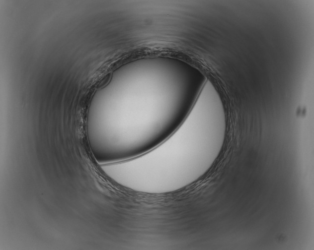 X0000112100868200908041110