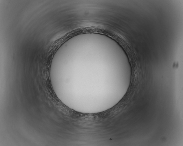X0000112100869200908041110