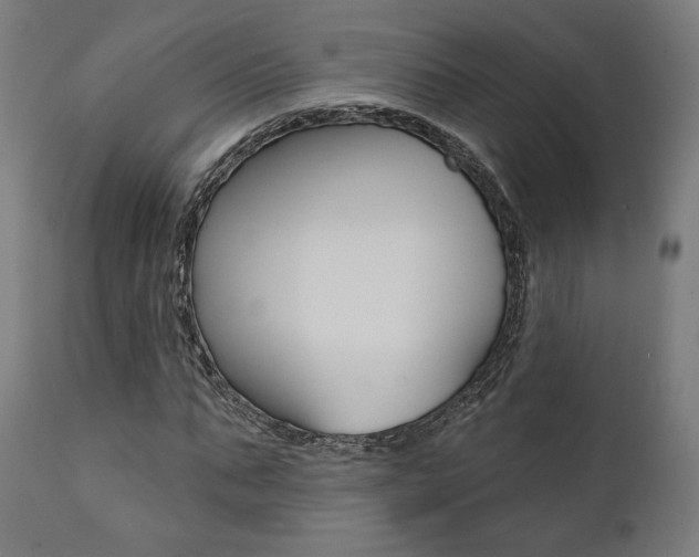 X0000112100871200908041110