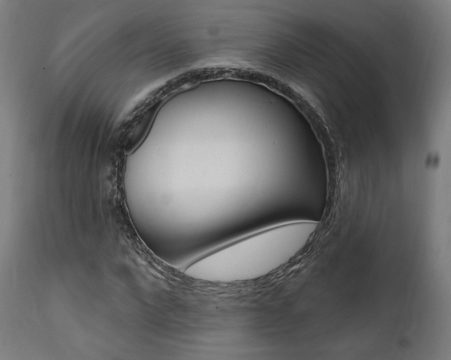 X0000112100872200908041110
