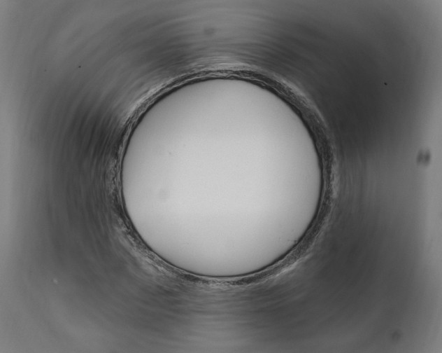X0000112100873200908041110
