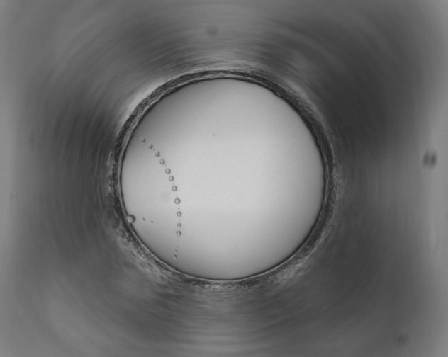 X0000112100875200908041110
