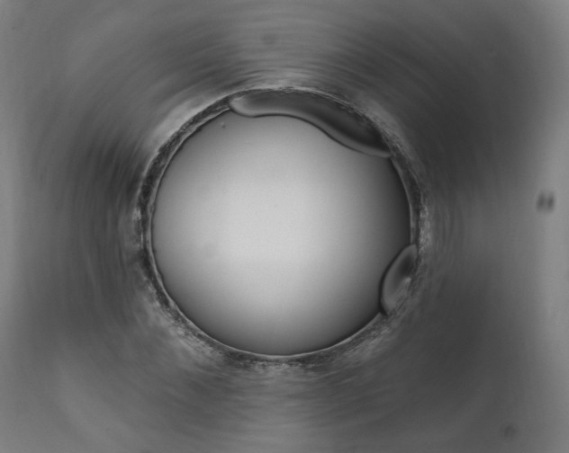 X0000112100876200908041110