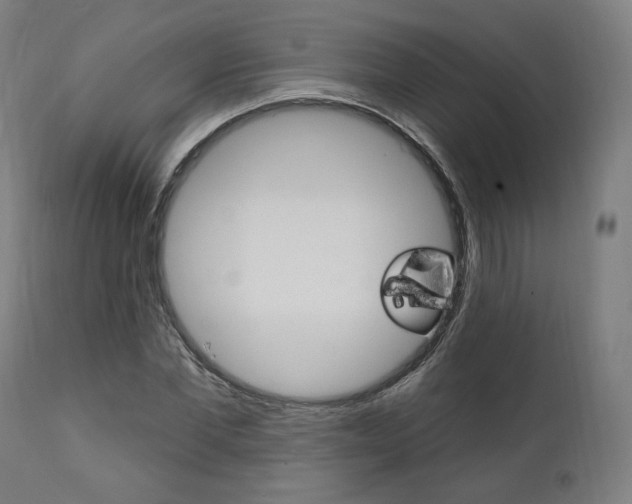 X0000112100877200908041110