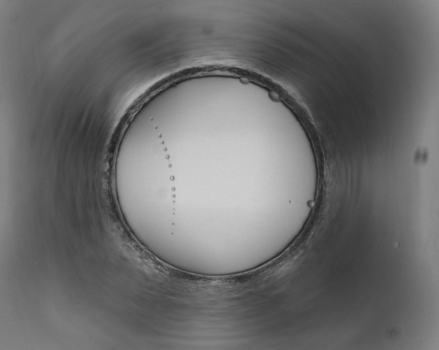 X0000112100879200908041110
