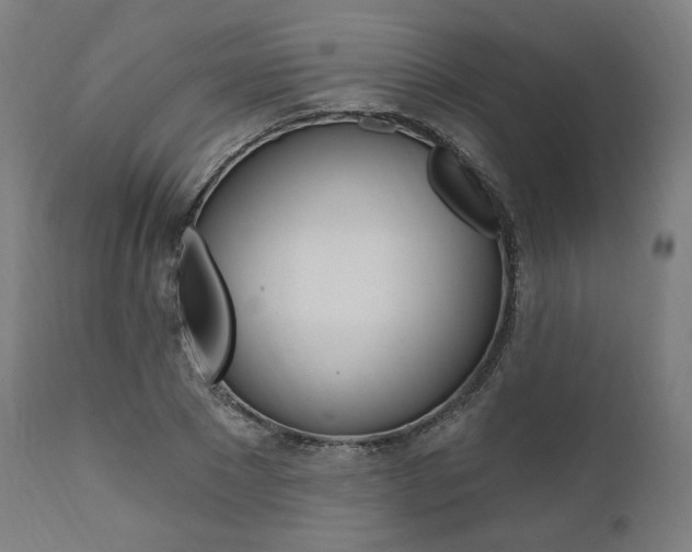 X0000112100881200908041110
