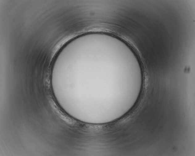 X0000112100882200908041110
