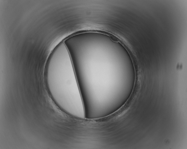 X0000112100885200908041110
