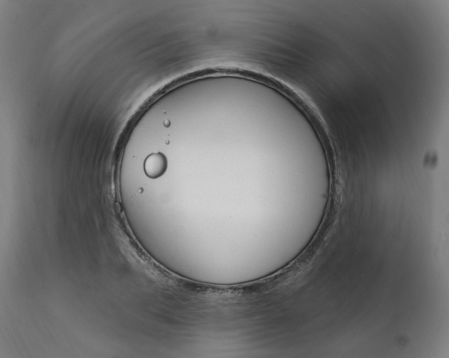X0000112100887200908041110