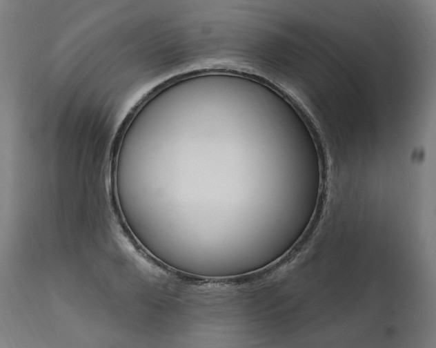 X0000112100888200908041110