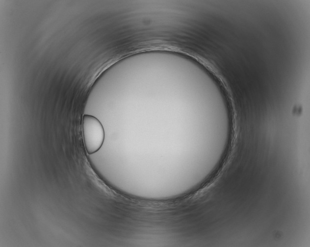X0000112100889200908041110