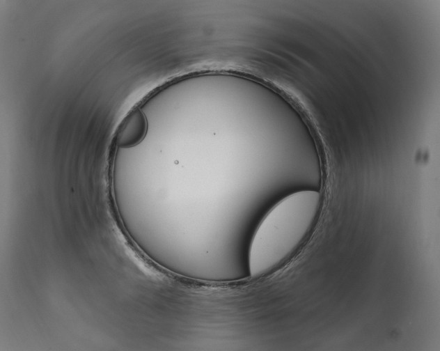 X0000112100894200908041110