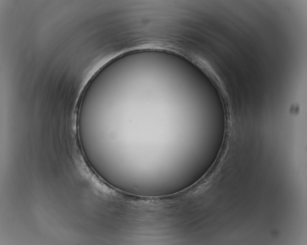 X0000112100900200908041110
