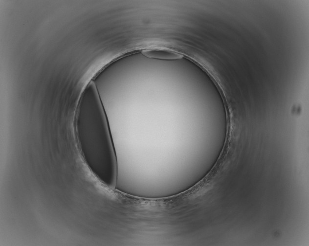 X0000112100901200908041110