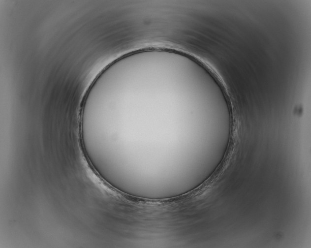 X0000112100903200908041110