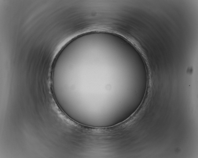 X0000112100904200908041110