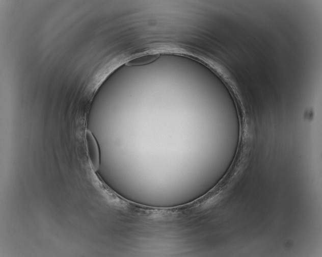 X0000112100905200908041110
