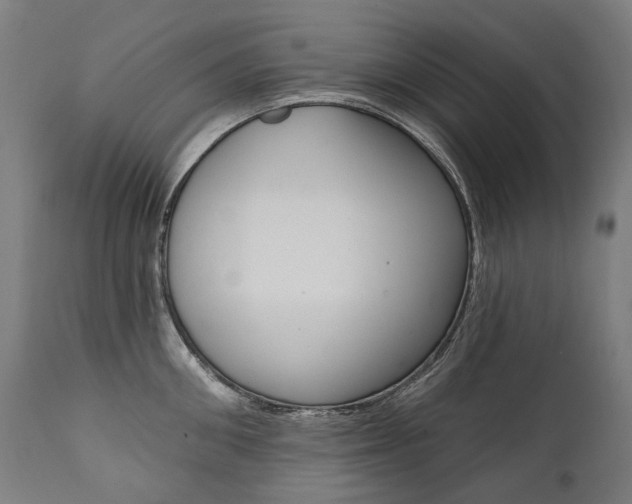 X0000112100906200908041110