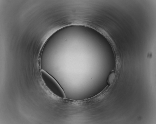 X0000112100908200908041110