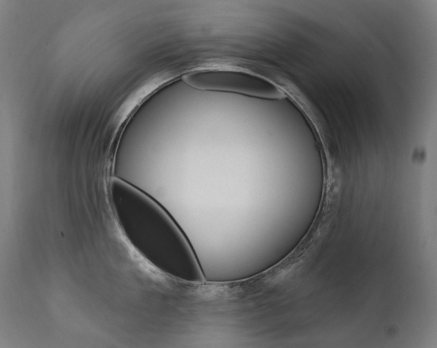 X0000112100909200908041110