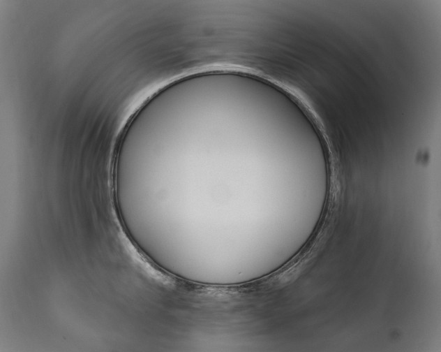 X0000112100910200908041110