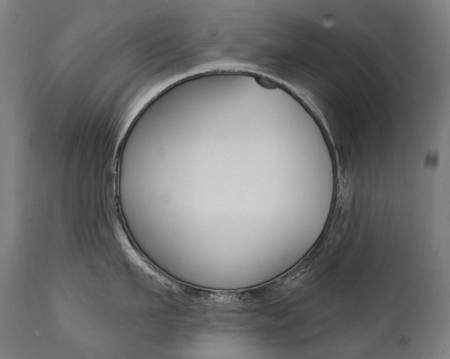 X0000112100911200908041110
