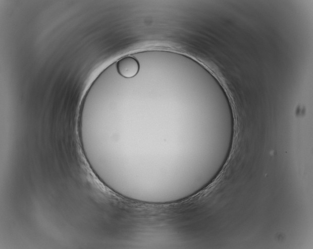 X0000112100912200908041110