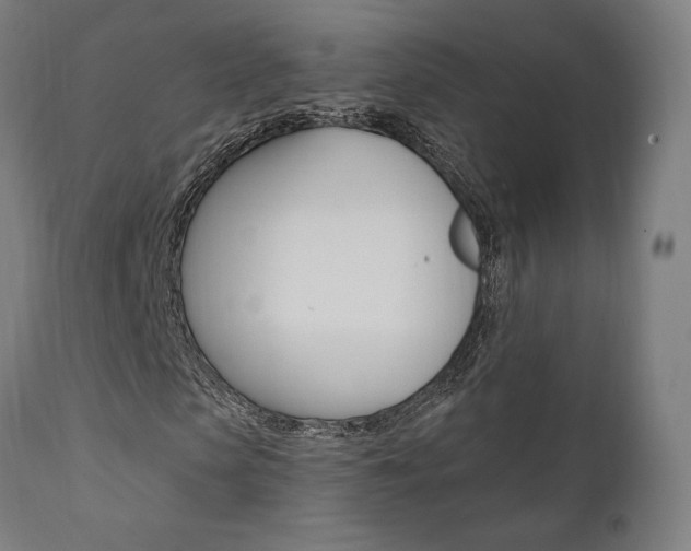 X0000112100913200908041109