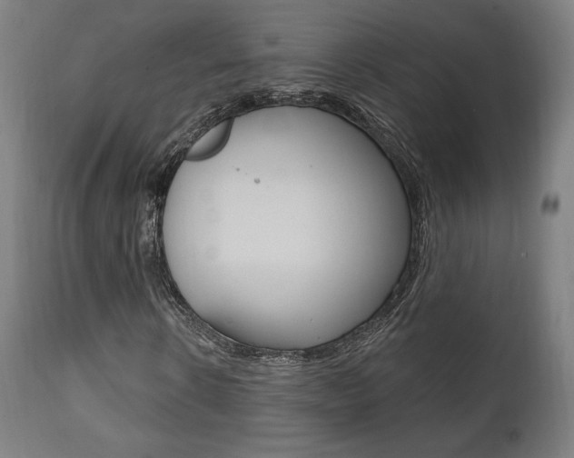 X0000112100914200908041109