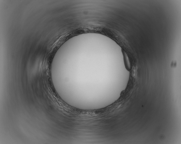 X0000112100915200908041109