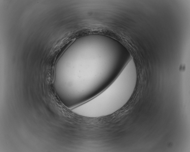 X0000112100916200908041109