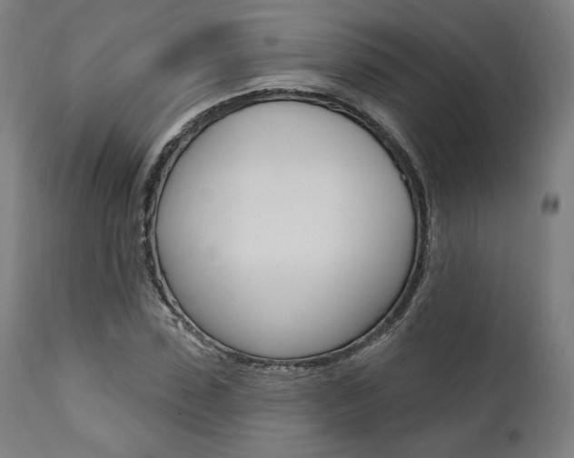 X0000112100923200908041109