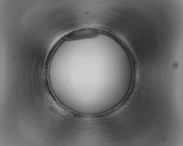 X0000112100924200908041109