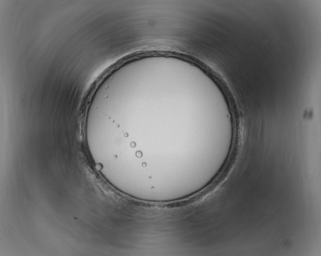 X0000112100925200908041109
