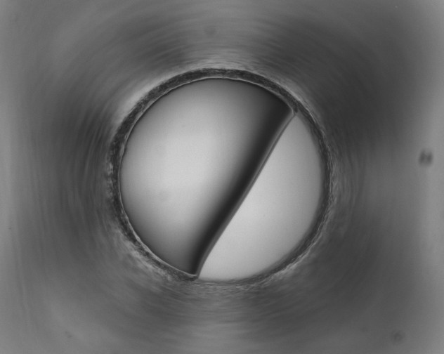 X0000112100926200908041109