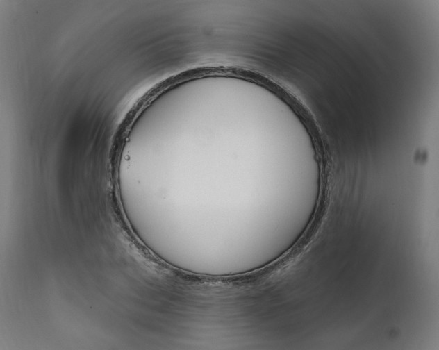 X0000112100927200908041109