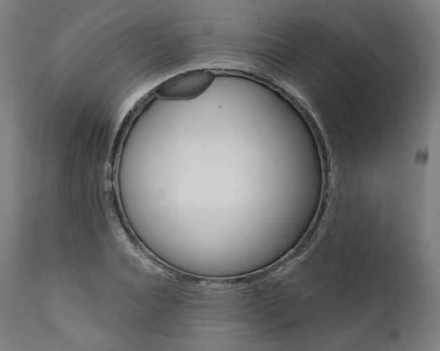 X0000112100928200908041109