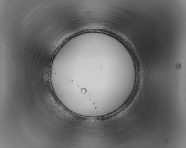 X0000112100929200908041109