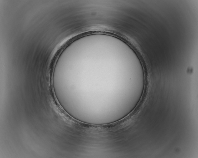 X0000112100931200908041109