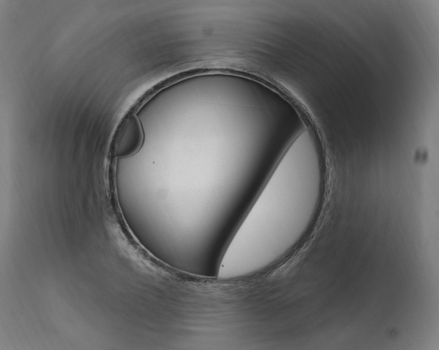 X0000112100932200908041109
