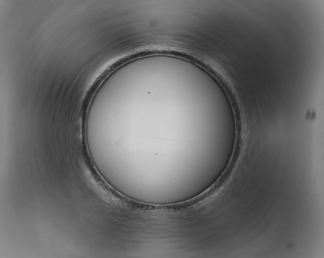 X0000112100934200908041109