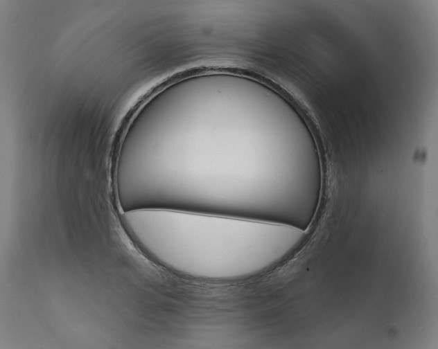 X0000112100935200908041109