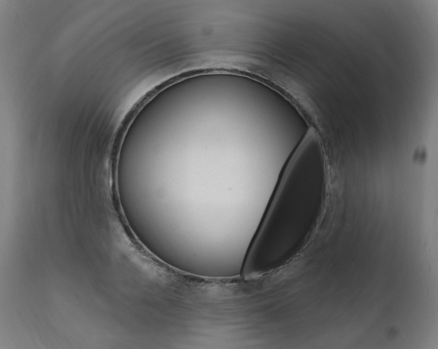 X0000112100936200908041109