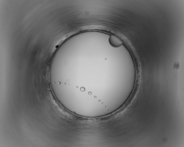 X0000112100937200908041109