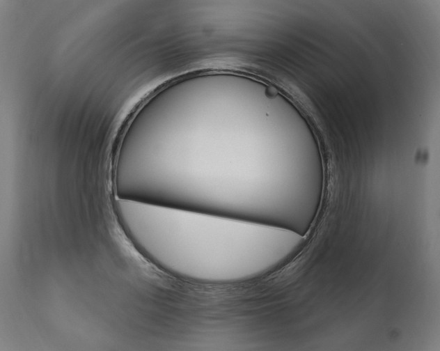 X0000112100939200908041109
