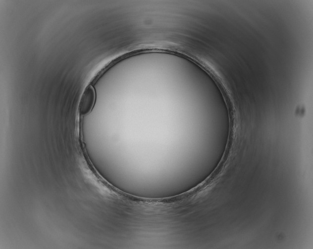X0000112100940200908041109