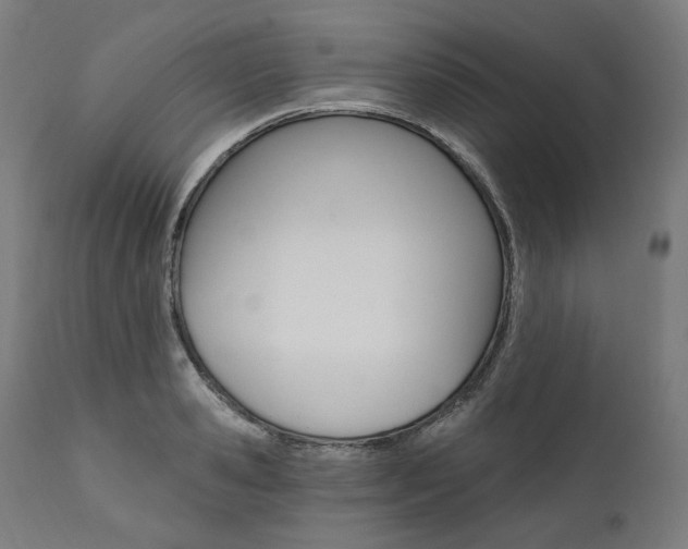 X0000112100941200908041109