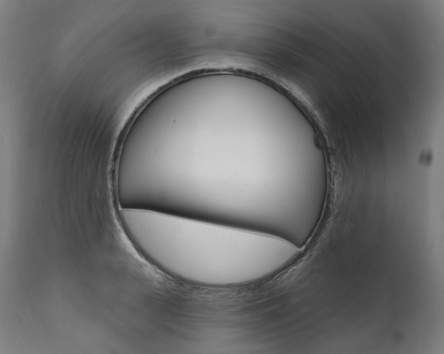 X0000112100943200908041109