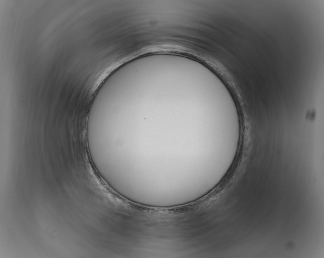 X0000112100945200908041109