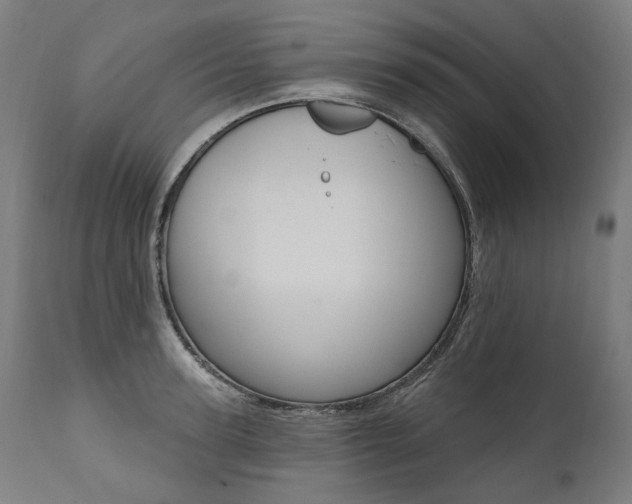 X0000112100947200908041109